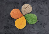 Natural World™ Seasonal Leaf Cushions