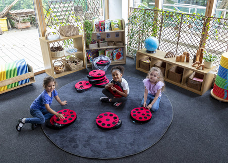 Back to Nature™ Sensory Ladybird Counting Cushions