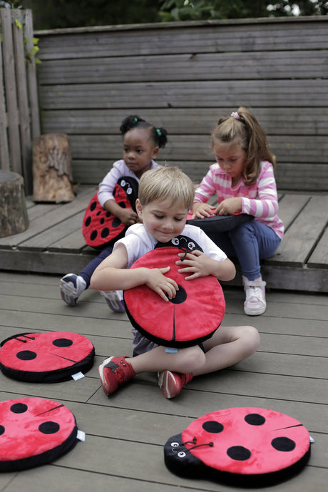 Back to Nature™ Sensory Ladybird Counting Cushions