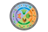 Life Cycle Carpet